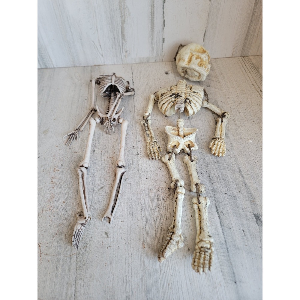 Small hanging skeleton AS IS Halloween prop home decor set scary bones unique